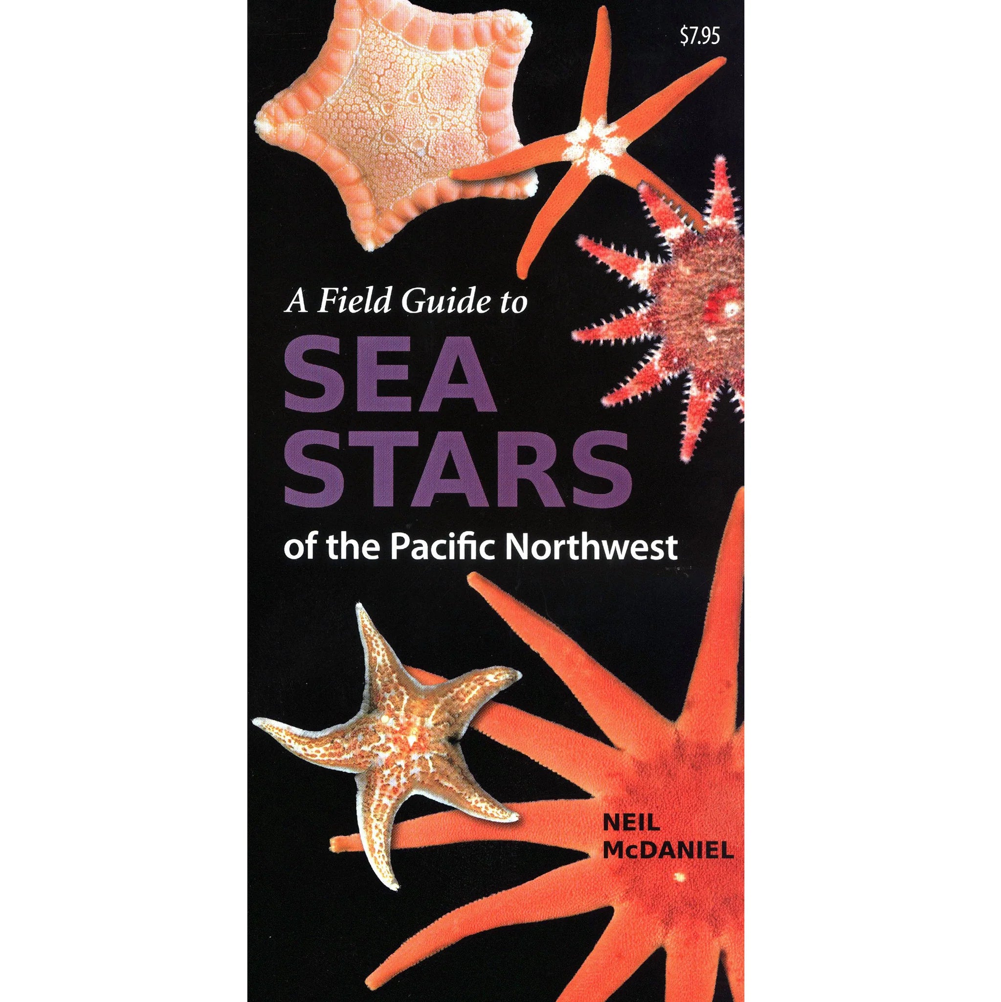 A Field Guide to Sea Stars of the PNW | Diving Sports Canada | Vancouver