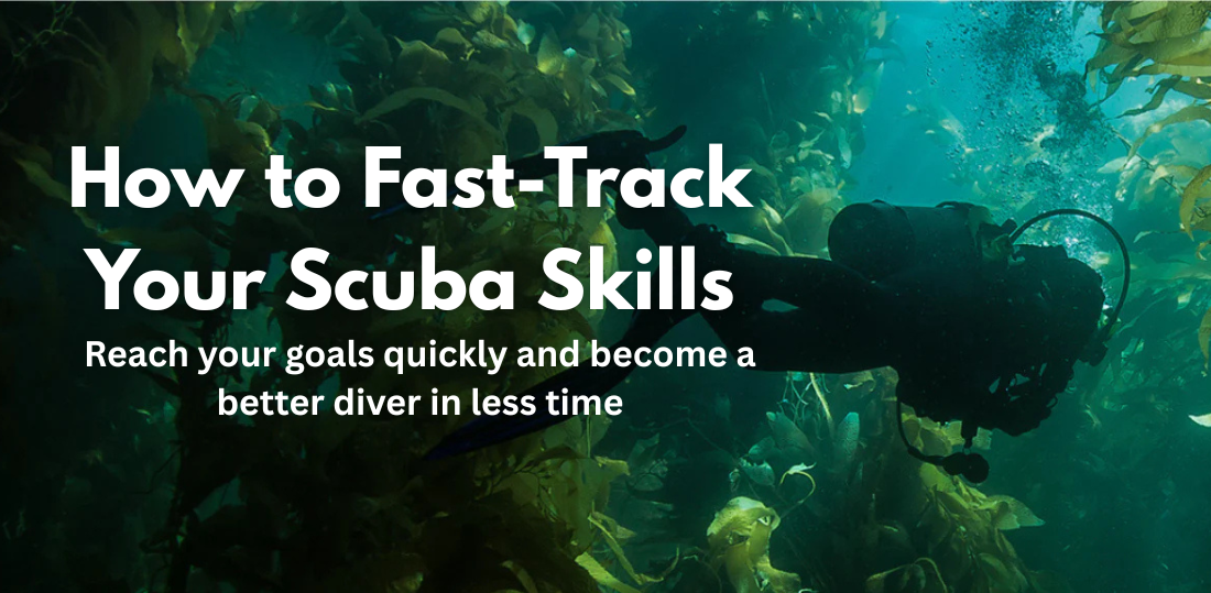 How to Fast-Track Your Scuba Skills This Season