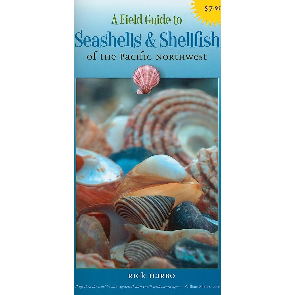 A Field Guide to Seashells and Shellfish of the PNW | Diving Sports Canada | Vancouver