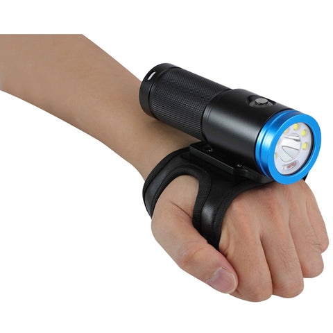 Bigblue VTL2900PB Lumen Video Light w/ Blue Light Mode