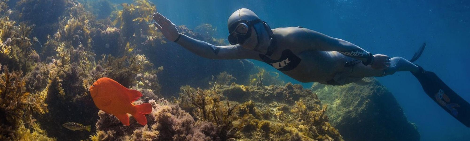 PADI Basic Freediver Course Vancouver Diving Sports Canada