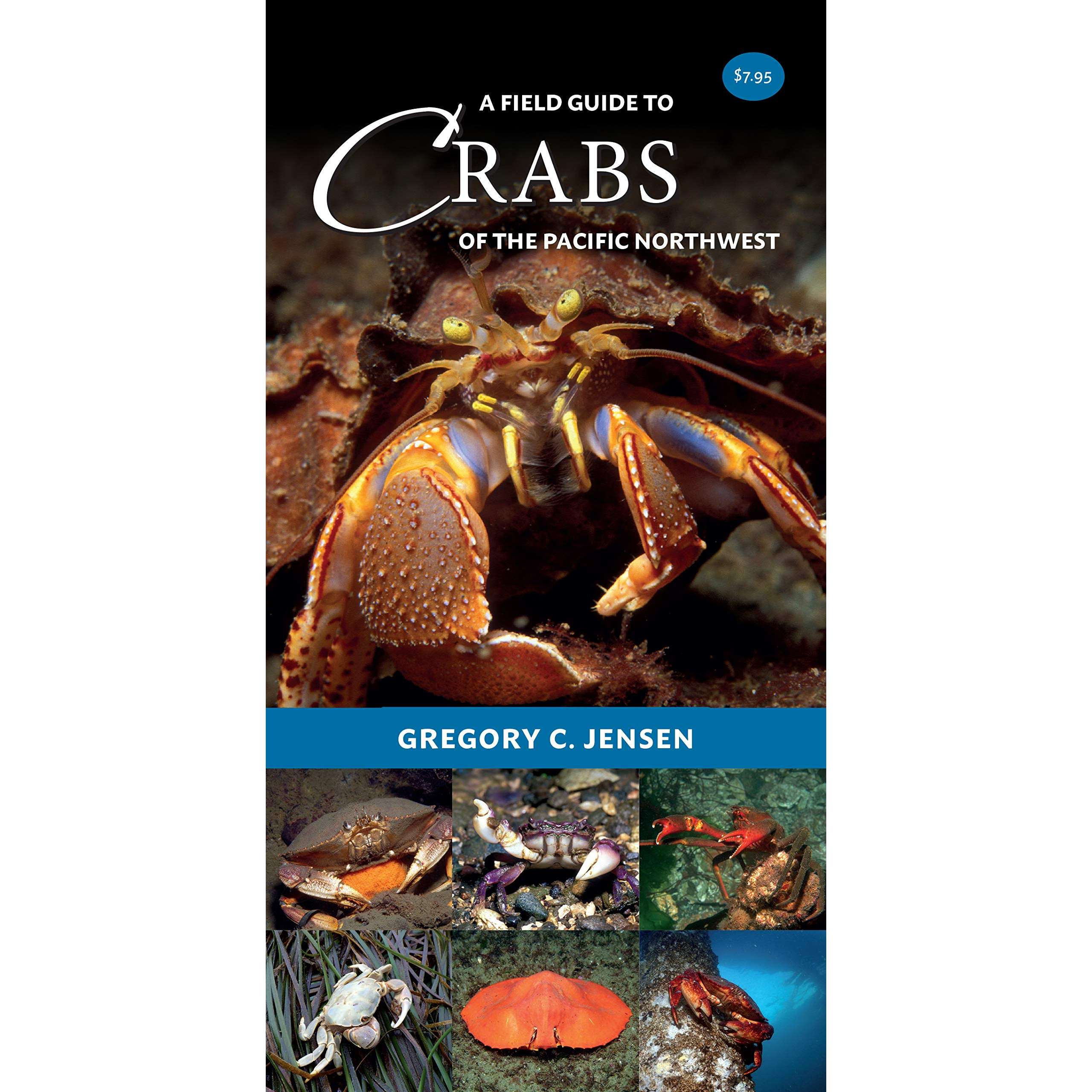 A Field Guide to Crabs of the PNW | Diving Sports Canada | Vancouver