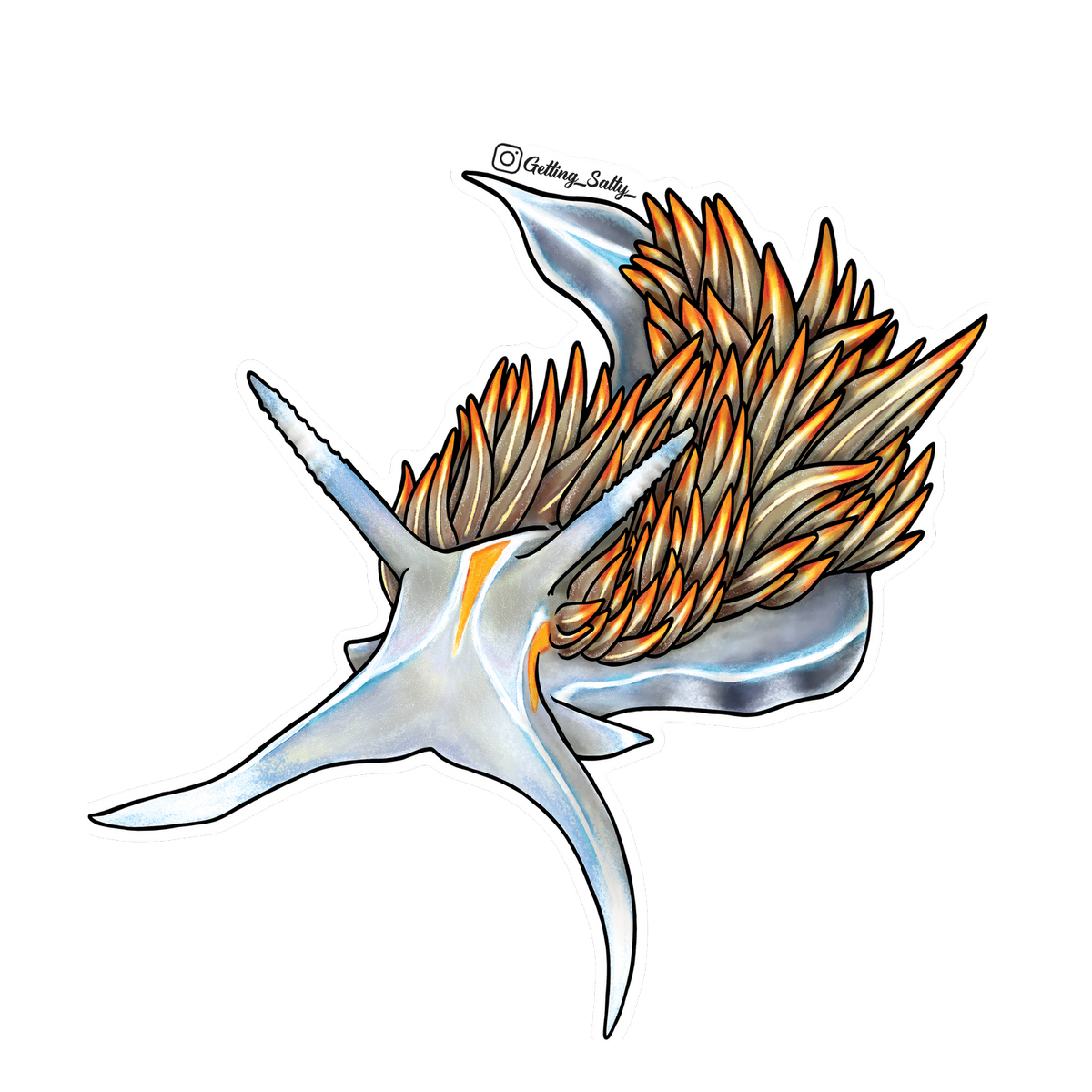 Getting Salty Opalescent Nudibranch - Mini | Diving Sports Canada | Vancouver