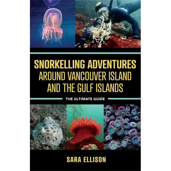 Snorkelling Adventures Around Vancouver Island and the Gulf Islands: The Ultimate Guide | Diving Sports Canada | Vancouver